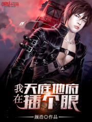 绝世天骄叶凌天的小说